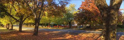 Finch Street - Beechworth - VIC (PBH4 00 13930)